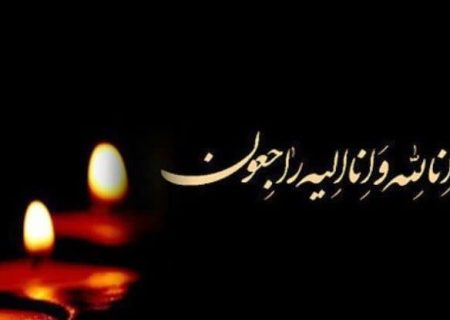 پیام تسلیت جبهه مردمی ایران قوی در پی درگذشت والده مکرمه دکتر ناظمی اردکانی